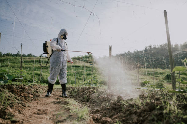 Best Mosquito Control Services  in Granite, OK