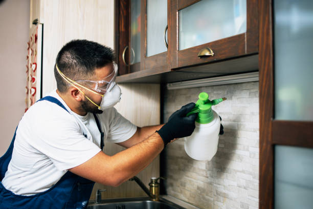 Best Wasp Removal Services  in Granite, OK