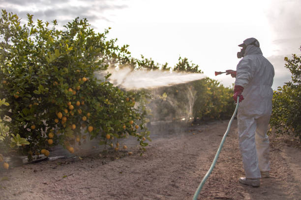 Best Pest Control Treatment  in Granite, OK