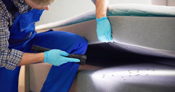 Best Affordable Pest Control Services  in Granite, OK