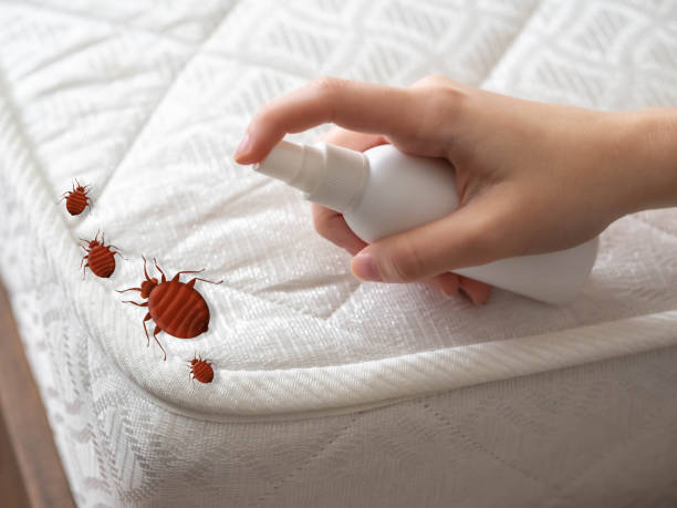 Best Emergency Pest Control  in Granite, OK