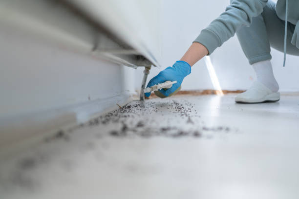 Best Bed Bug Extermination  in Granite, OK