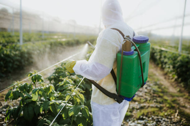 Best Best Pest Control Companies  in Granite, OK
